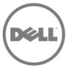 dell 100x